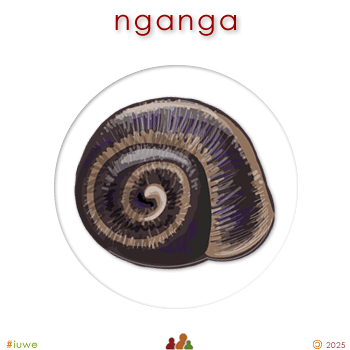 w09097_01 nganga - shell