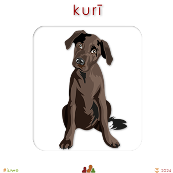 w00159_01 kurī - dog
