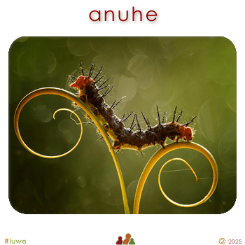w02637_01 anuhe - caterpillar