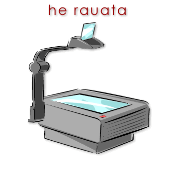 w01614_01 rauata - projector overhead