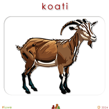 w02485_03 koati - goat