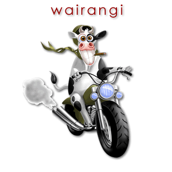 w00990_01 wairangi - eccentric