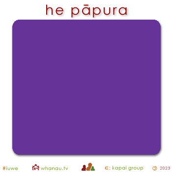 01608 pāpura - purple 01