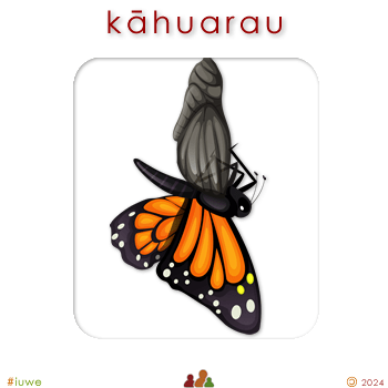 w08796_03 kāhuarau - metamorphosis