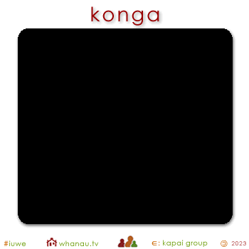 02209 konga - black pigment 01