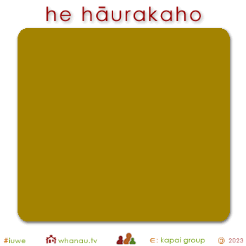 01571 hāurakaho - yellow brownish 01