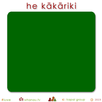 01586 kākāriki - green 01