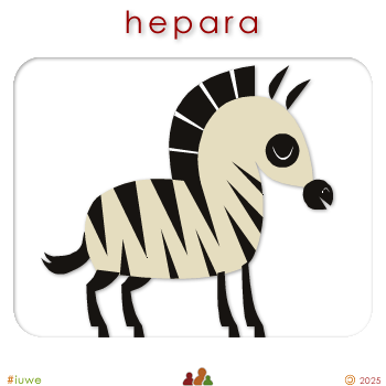 w09119_01 hepara - zebra