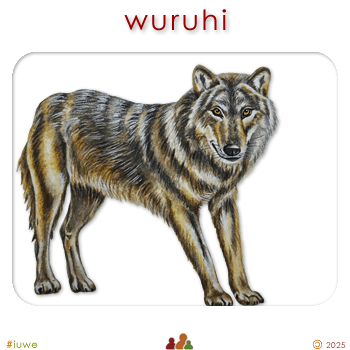 w00581_02 wuruhi - wolf