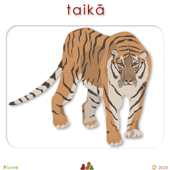 w00530_01 taikā - tiger