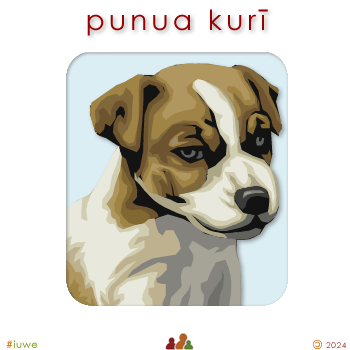 w00505_01 punua kurī - puppy