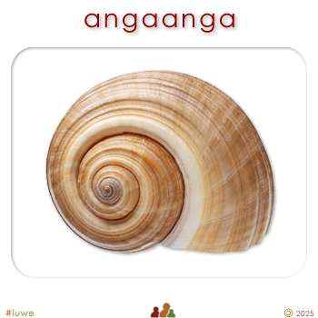 w09099_01 angaanga - shell