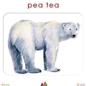 w00458_01 pea tea - polar bear