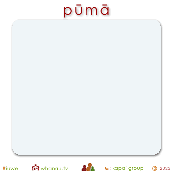 02788 pūmā - whitish gray 01