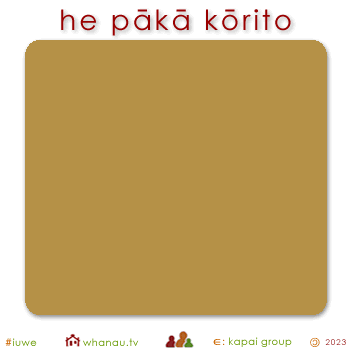 01379 pākā kōrito - brown pale 01