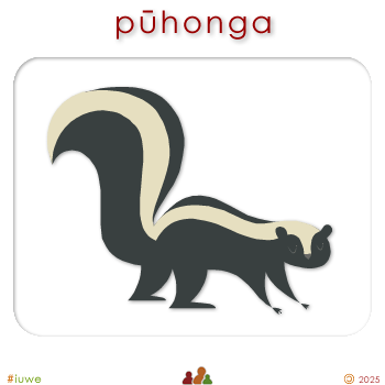w00500_01 pūhonga - skunk