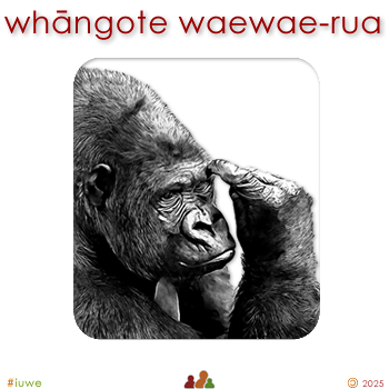 w09118_01 whāngote waewae-rua - primate
