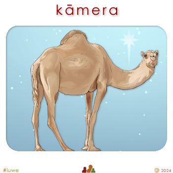 w04523_02 kāmera - camel