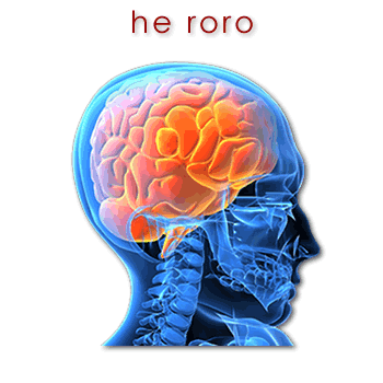 00526 roro - brain 01