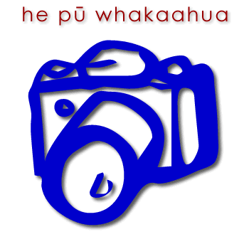 w00496_01 pū whakaahua - camera