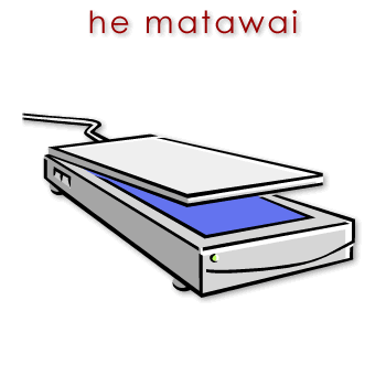 w01960_01 matawai - scanner
