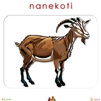 w00422_03 nanekoti - goat