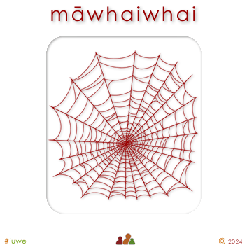w00407_01 māwhaiwhai - spiders web