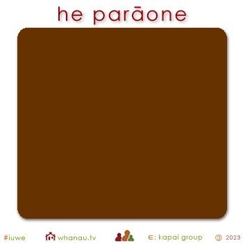 01574 parāone - brown chocolate 01