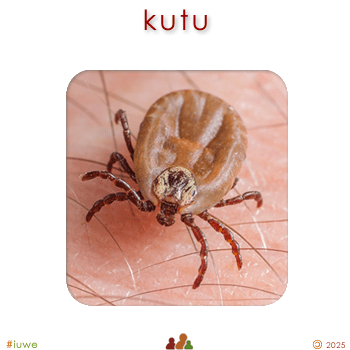 w03243_01 kutu - lice
