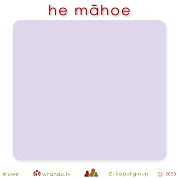 01604 māhoe - purple 01