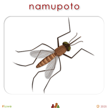 w04391_01 namupoto - midge