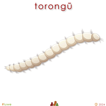 w04355_01 torongū - larva