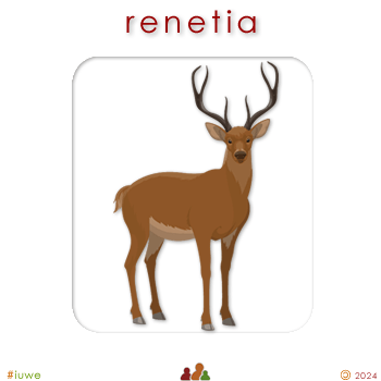 w07948_03 renetia - reindeer