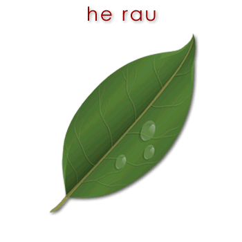 00138 rau - leaf 01