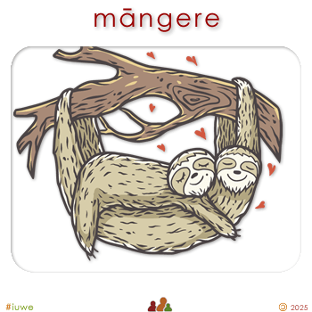 w04389_01 māngere - sloth