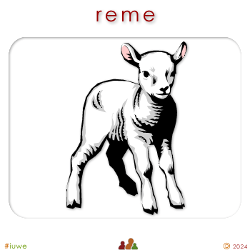 w01193_01 reme - lamb