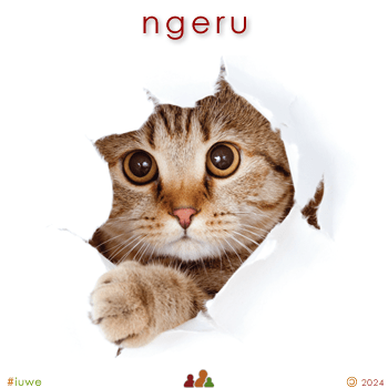 w00426_05 ngeru - cat