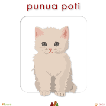 w01419_01 punua poti - kitten