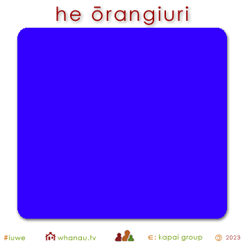 01583 ōrangihiko - blue electric 01