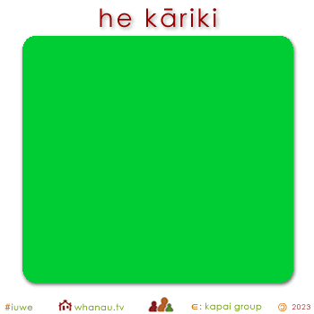 01587 kāriki - green 01