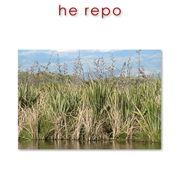 w01401_01 repo - marsh