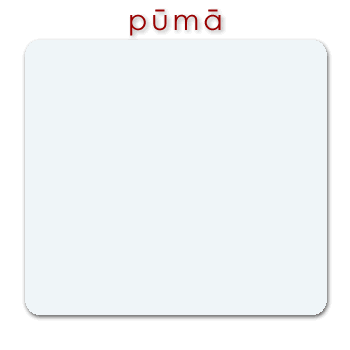 w02788_01 pūmā - whitish gray