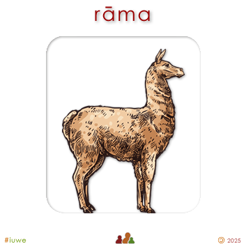 w04369_01 rāma - llama