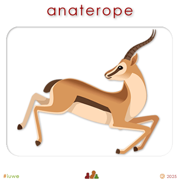 w00309_01 anaterope - antelope
