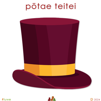 w04044_01 pōtae teitei - top hat