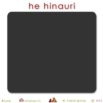 01581 hinauri - gray dark 01
