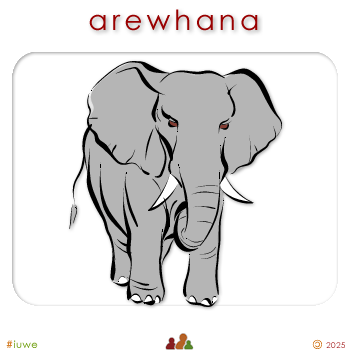 w00317_01 arewhana - elephant