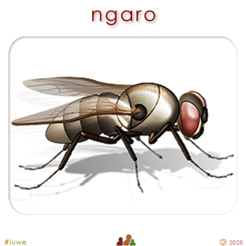 w00209_01 ngaro - fly