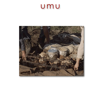 03888 umu - earth oven 01