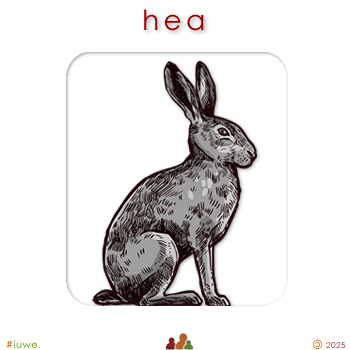 w00322_02 hea - hare
